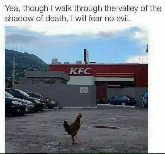 Kentucky Fried Chicken meme