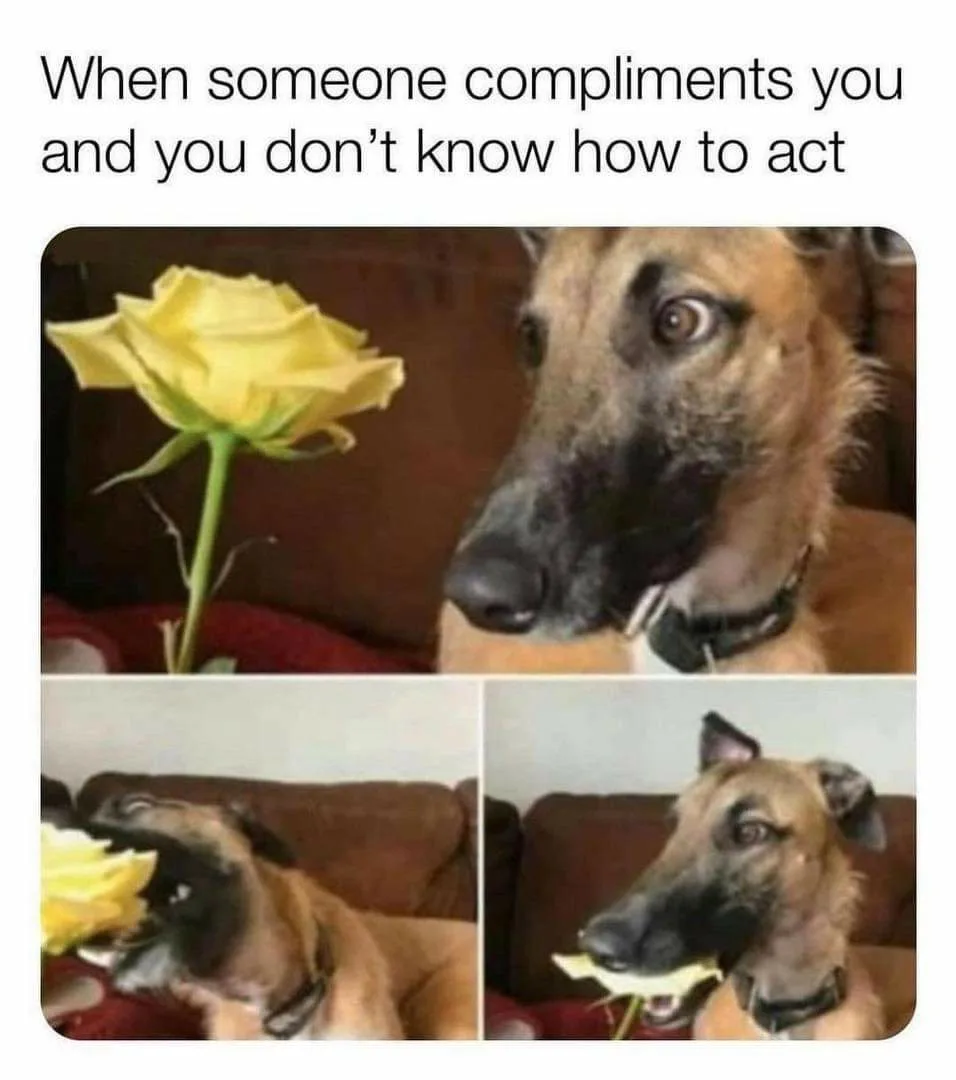 compliment meme