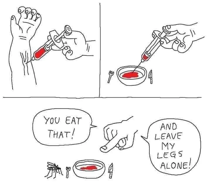 mosquito meme