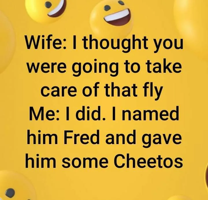 fly meme