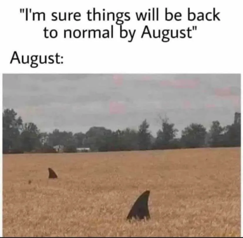 August meme