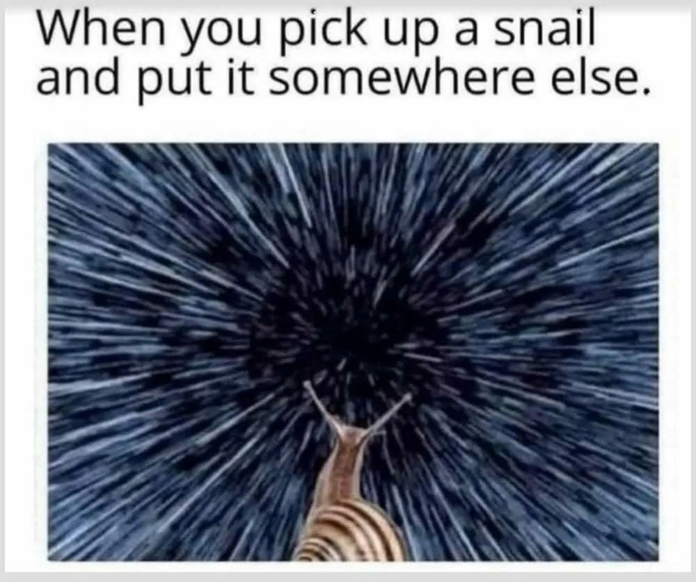 speed meme