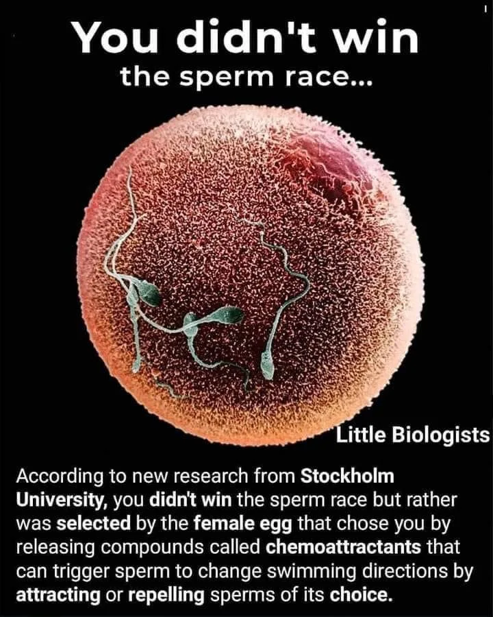 fertility meme