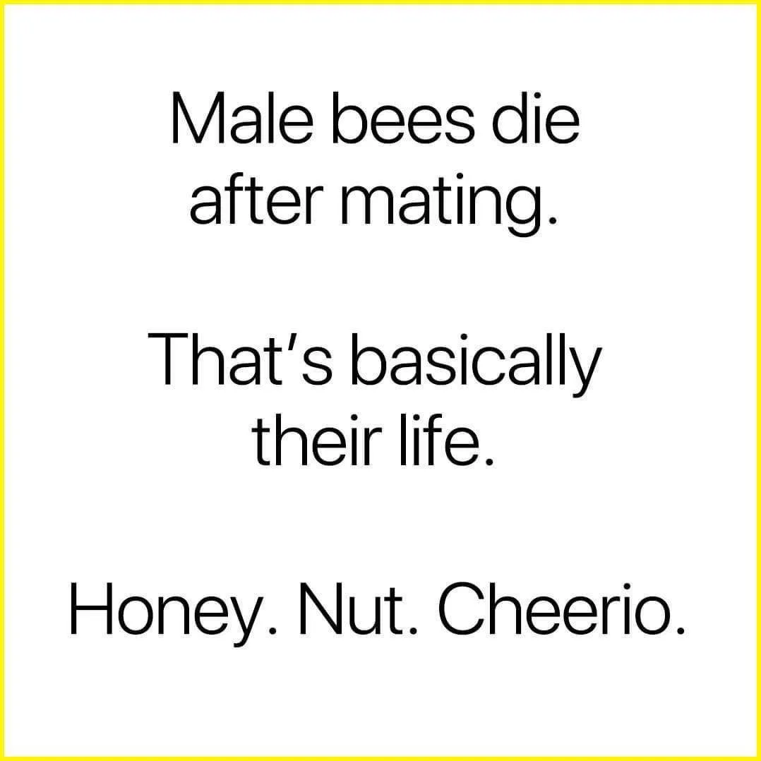 bee meme