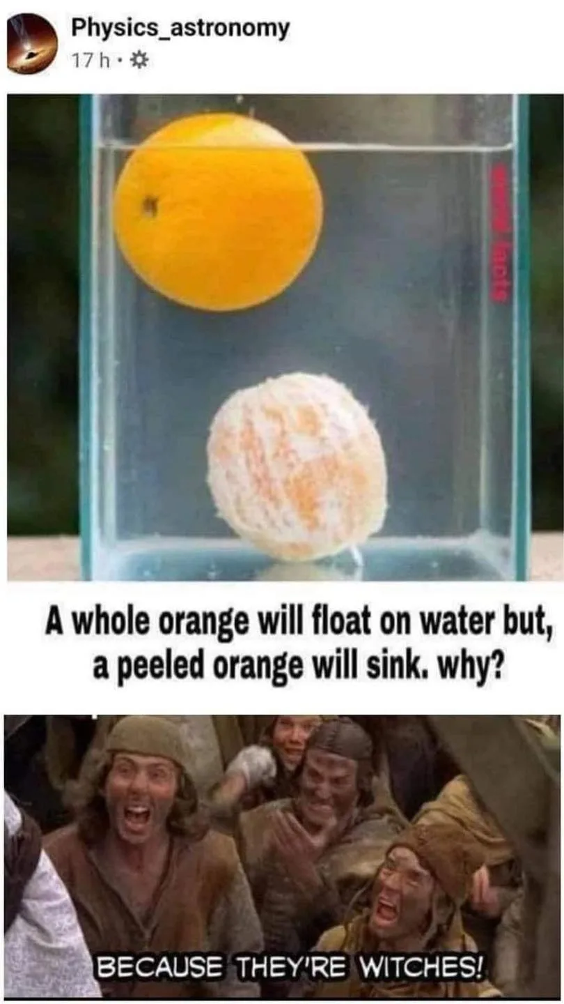 Monty Python meme