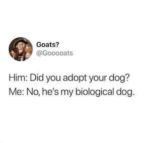 adoption meme