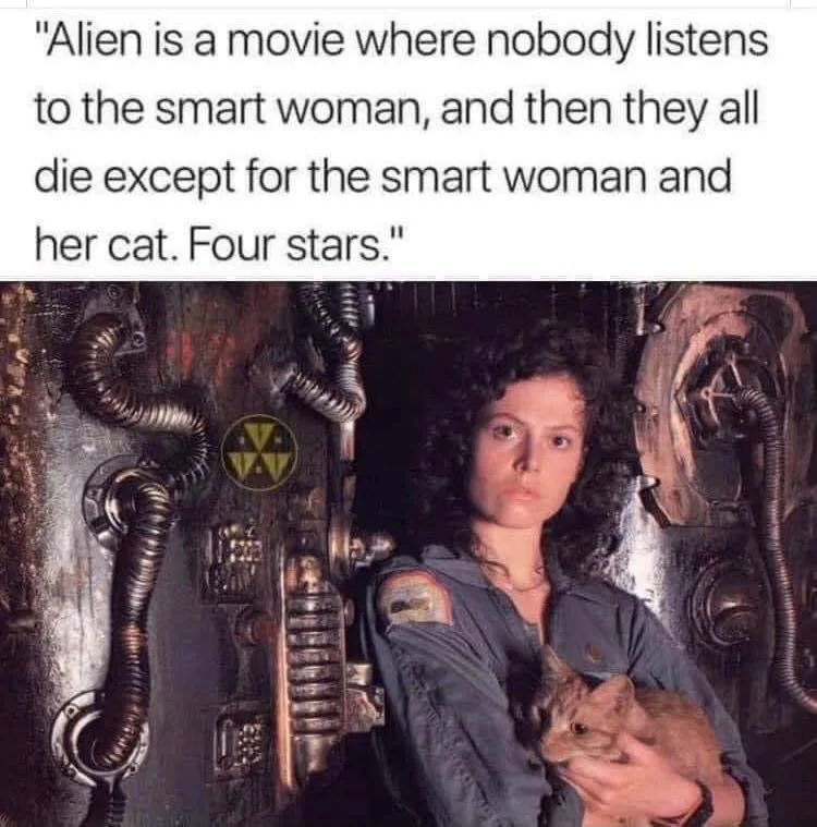 feminism meme