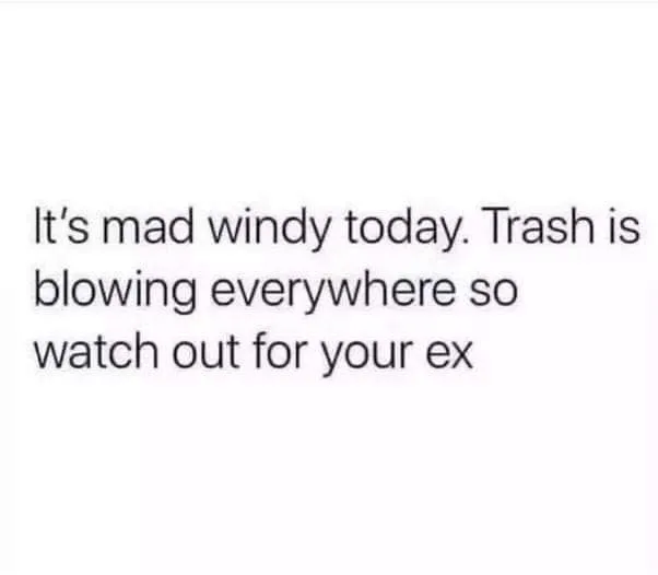 wind meme