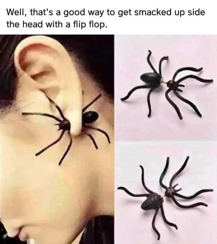 spider meme