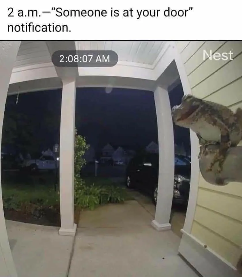 doorbell meme