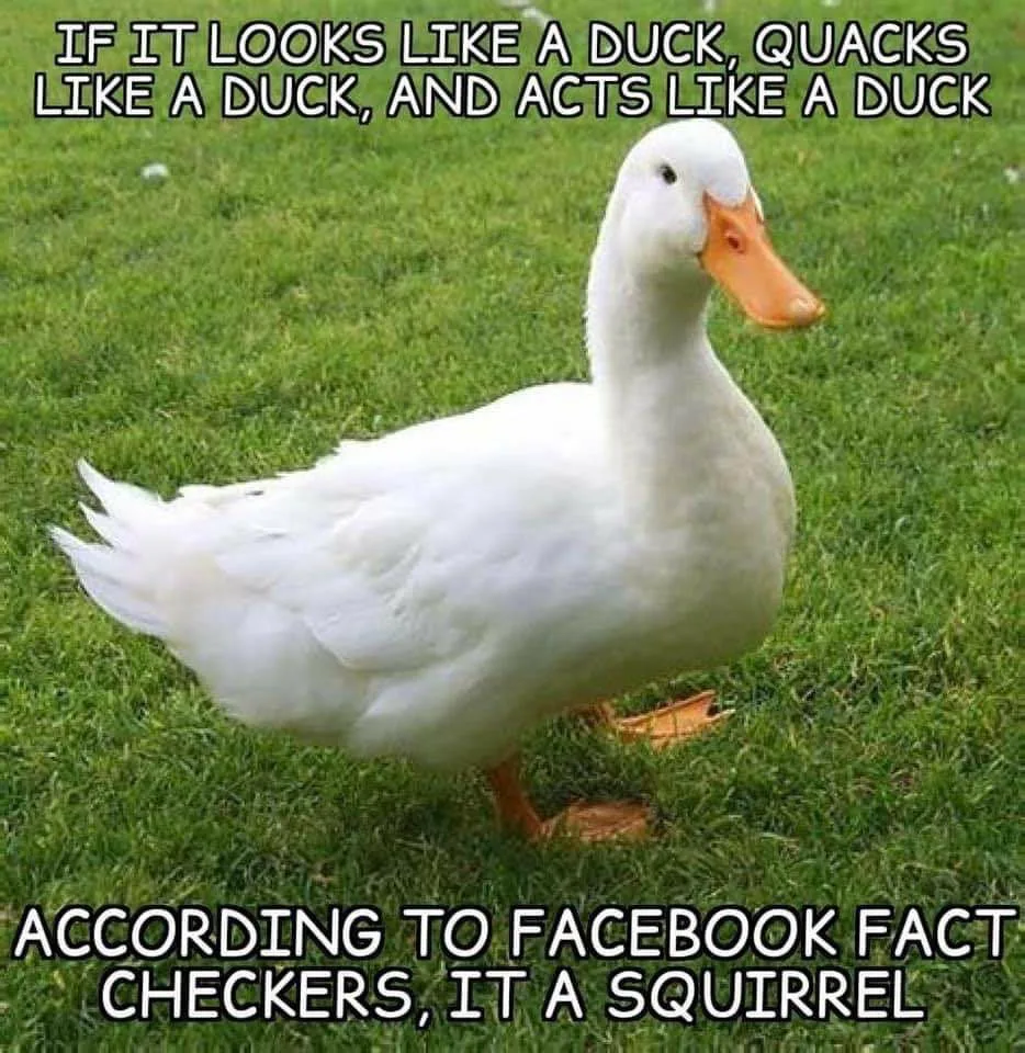 fact meme