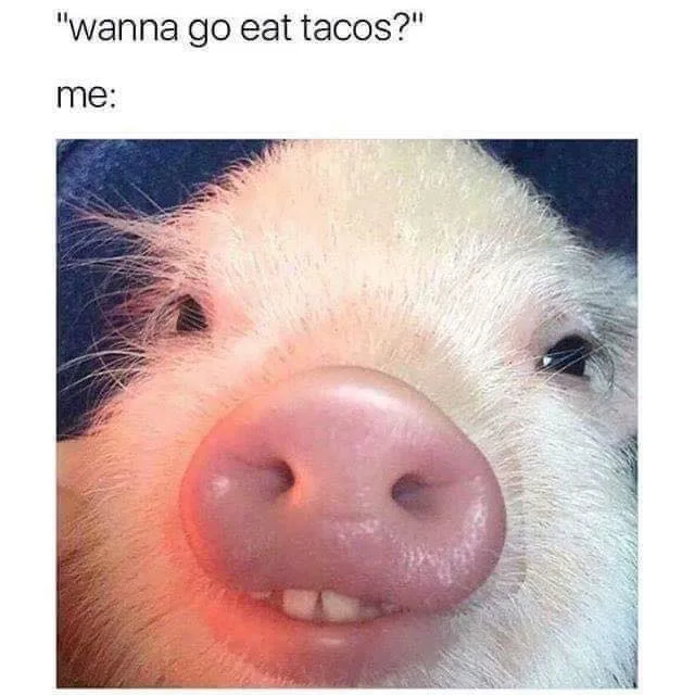 taco meme