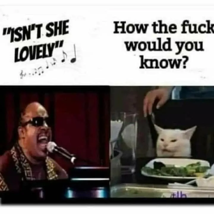 Stevie Wonder meme