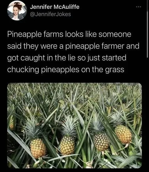 pineapple meme