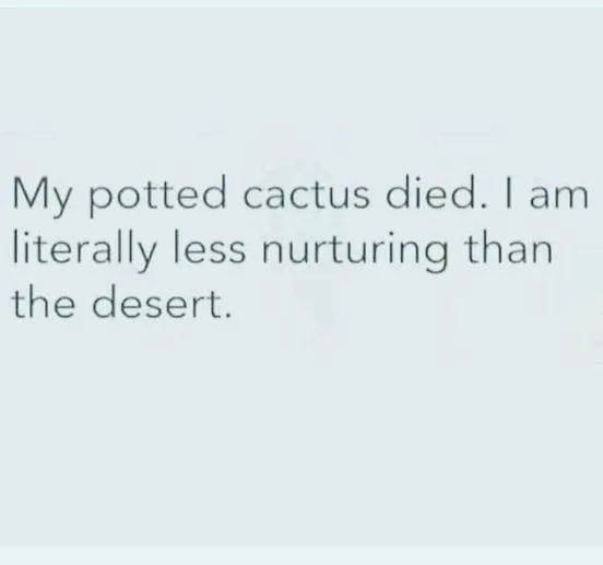 nurturing meme