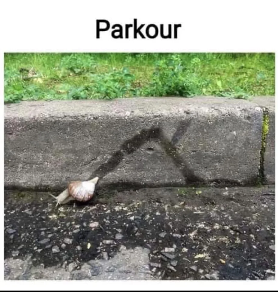 parkour meme