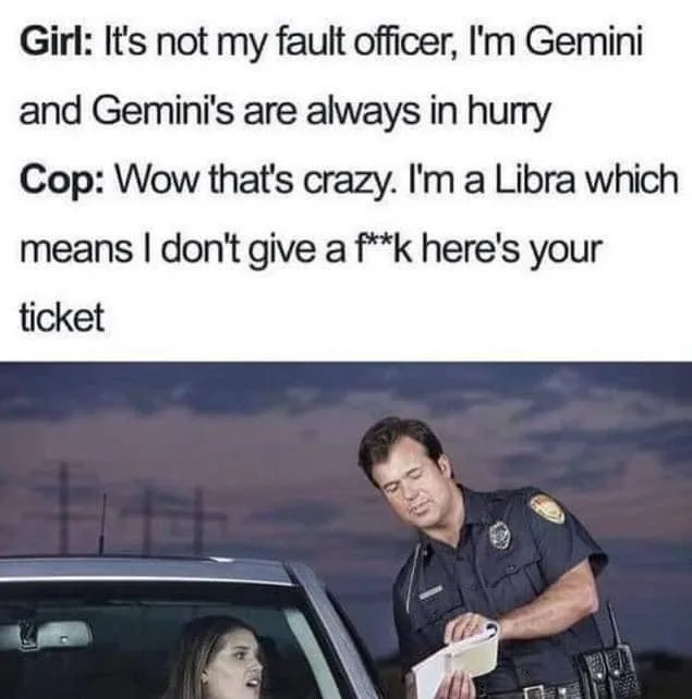 Gemini meme