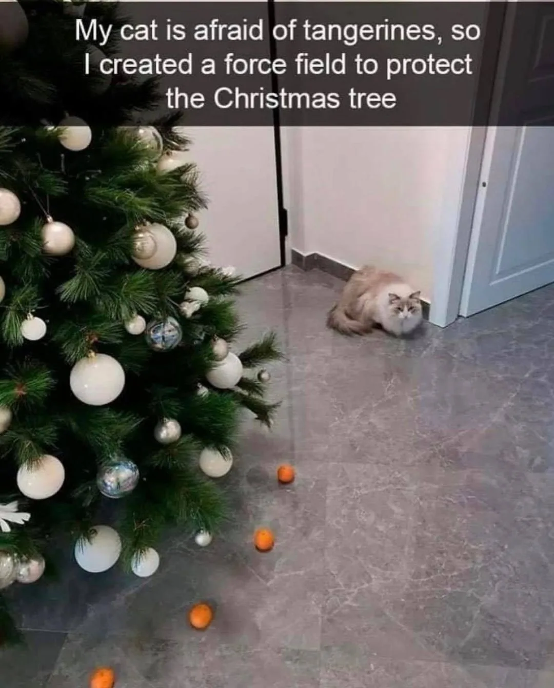 Christmas tree meme