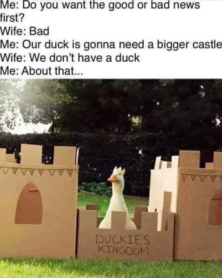 duck meme