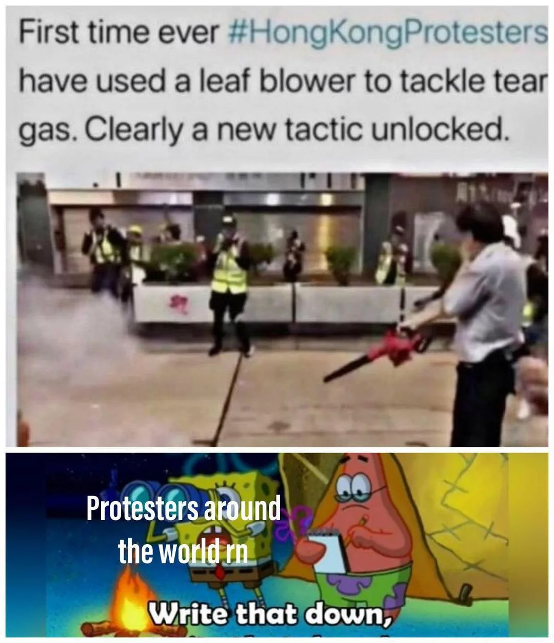 protest meme
