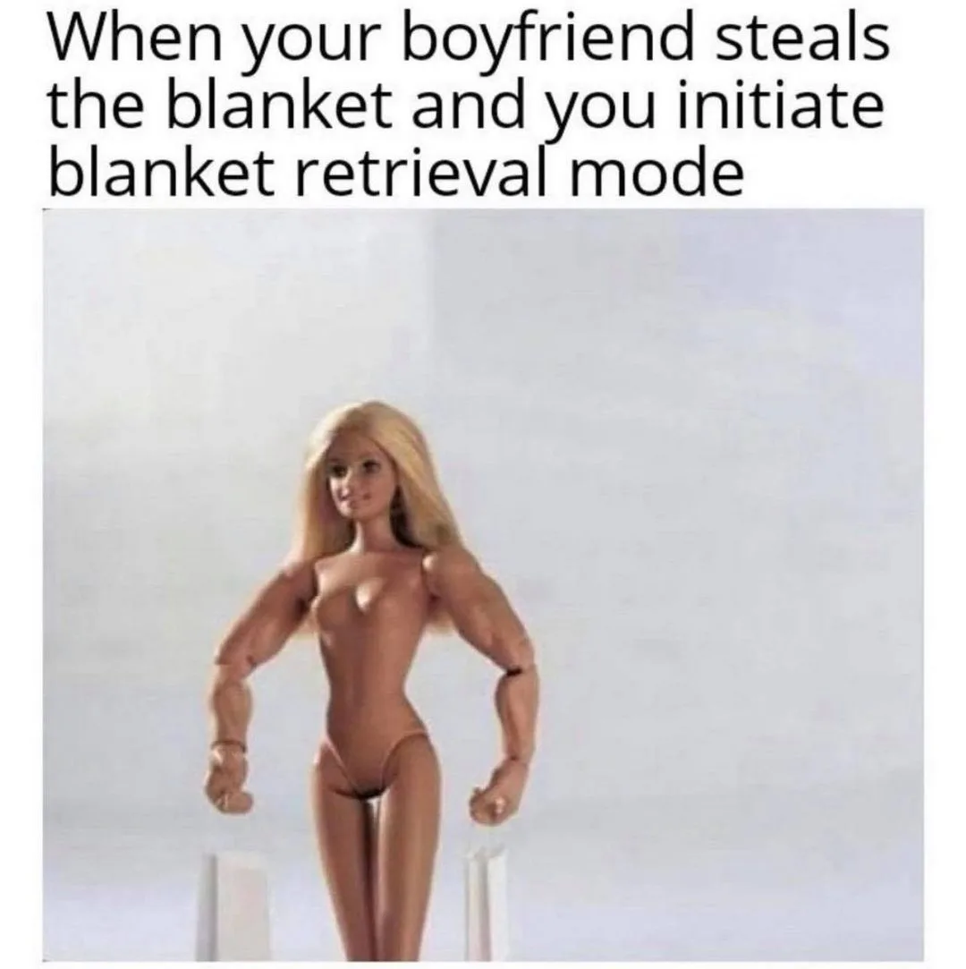bedsheet meme