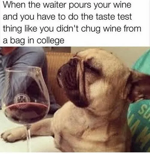 wine tasting meme