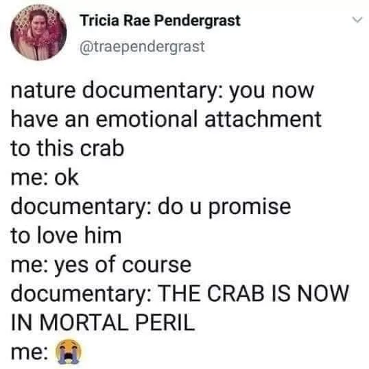 nature meme