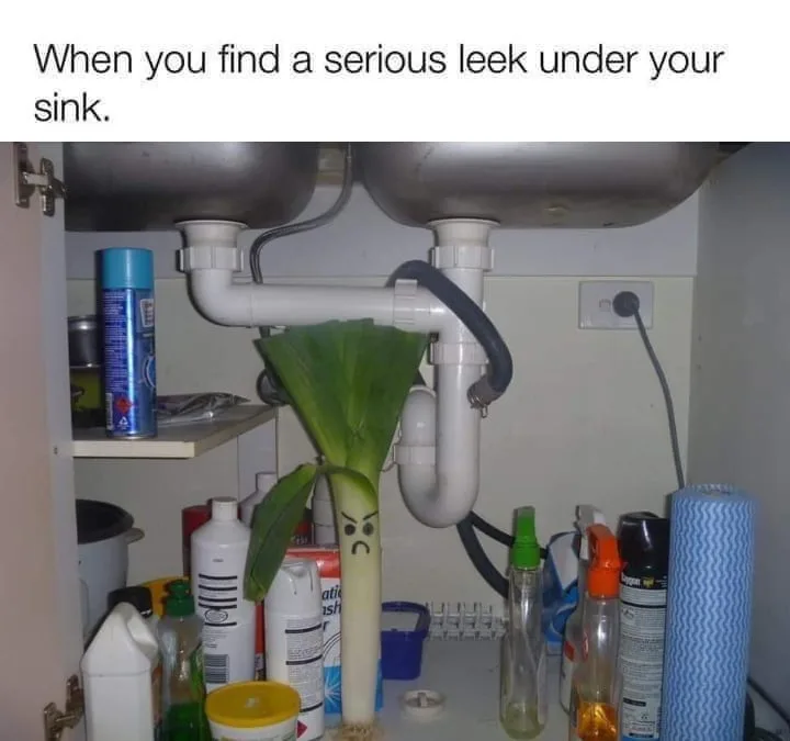 plumbing meme