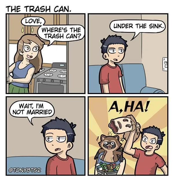 garbage meme