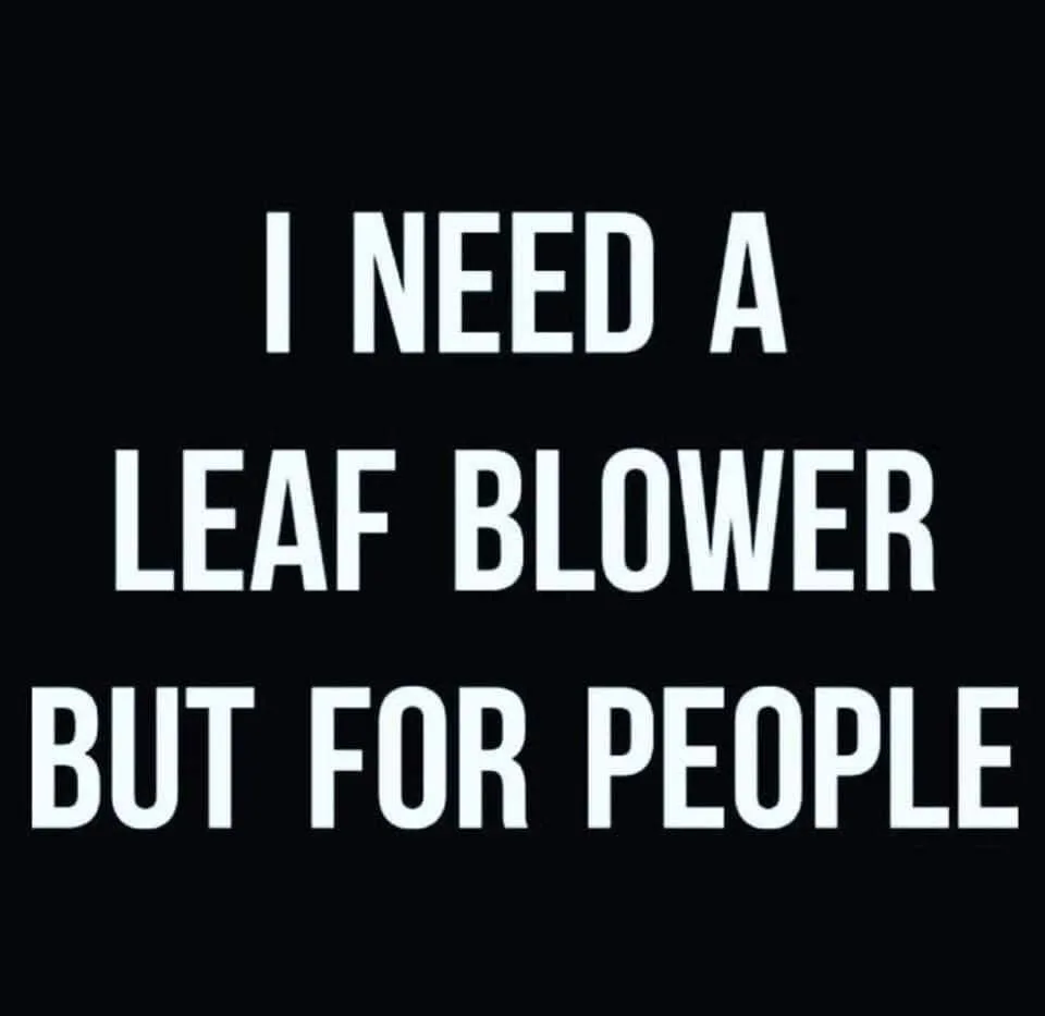 leaf blower meme
