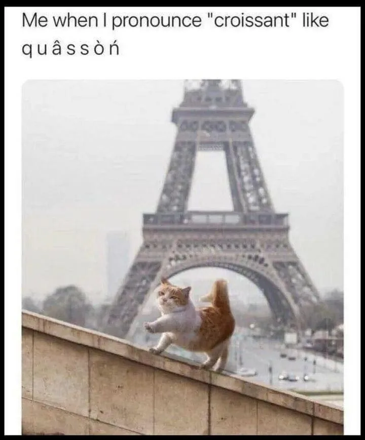 fancy meme