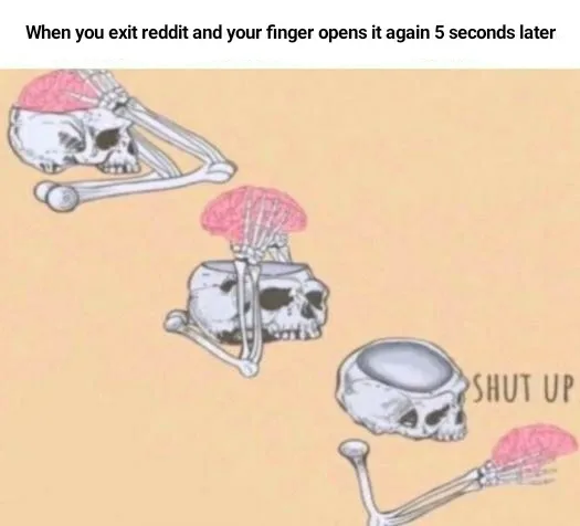 Reddit meme