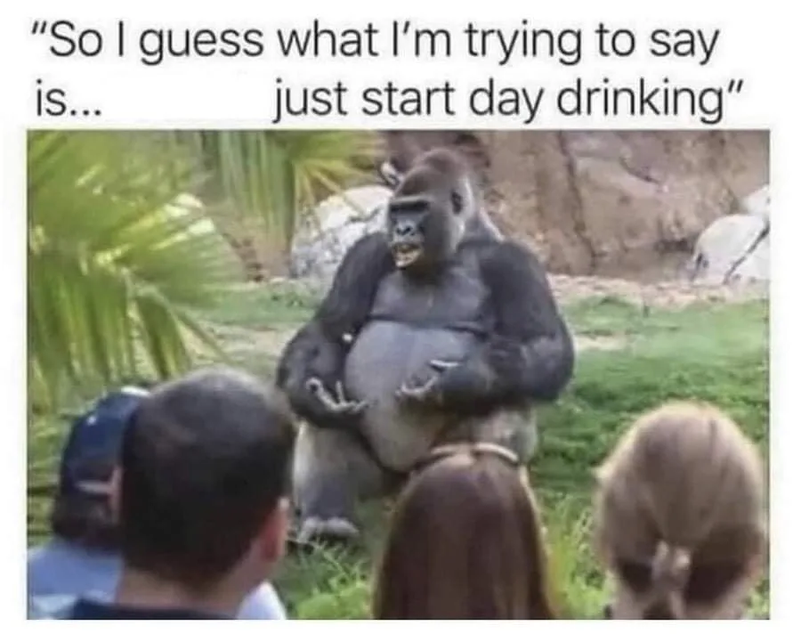 day drinking meme