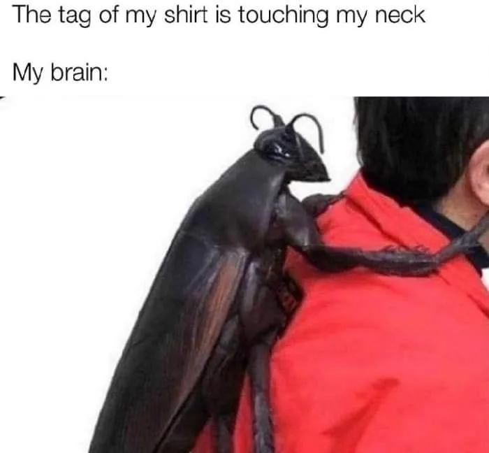 shirt meme