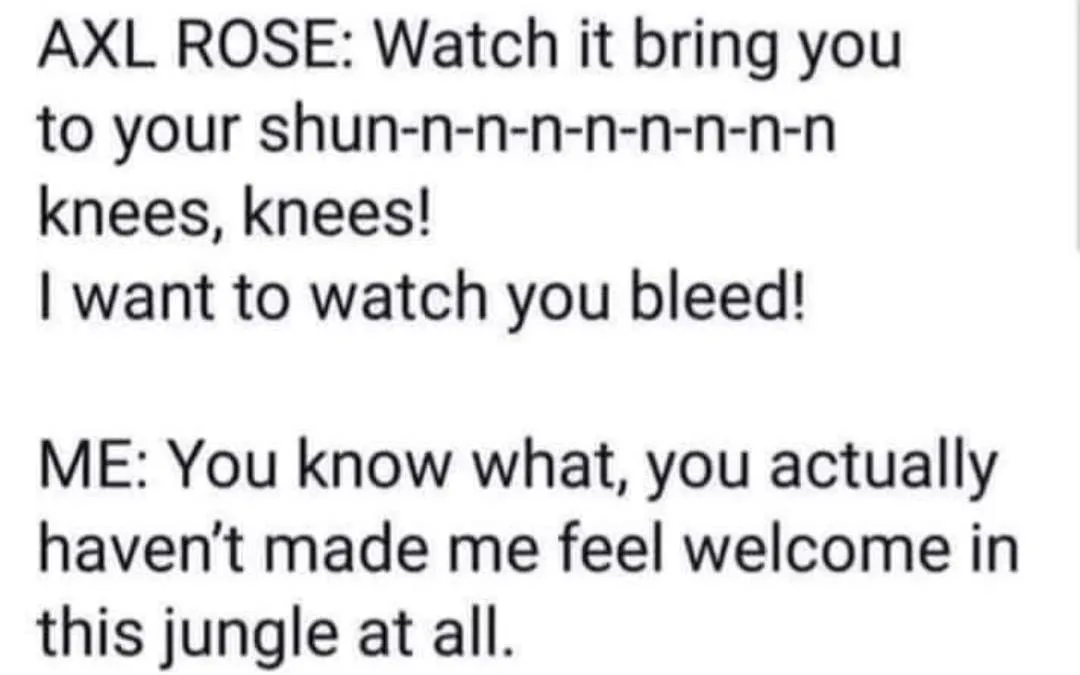 Guns and Roses meme