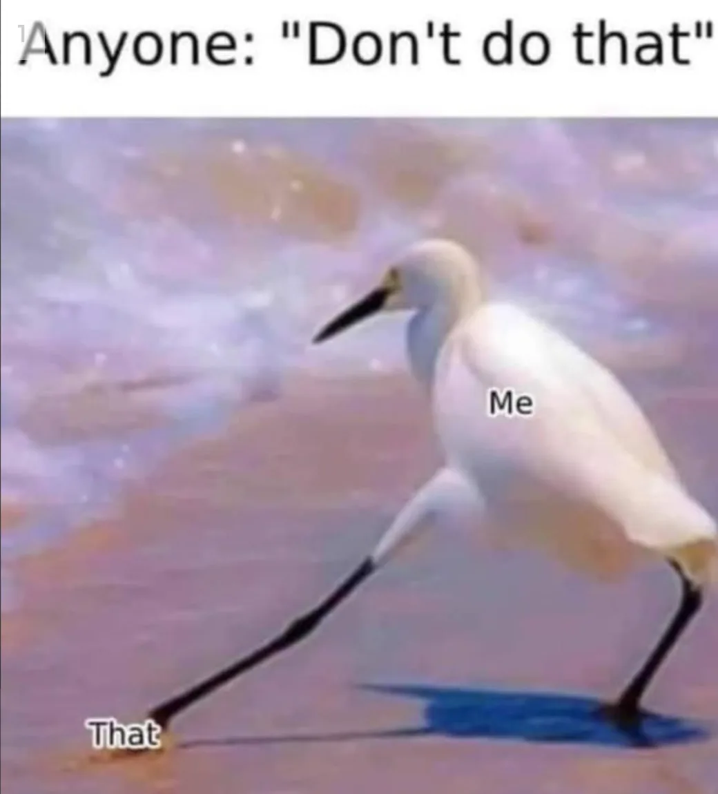 prohibition meme