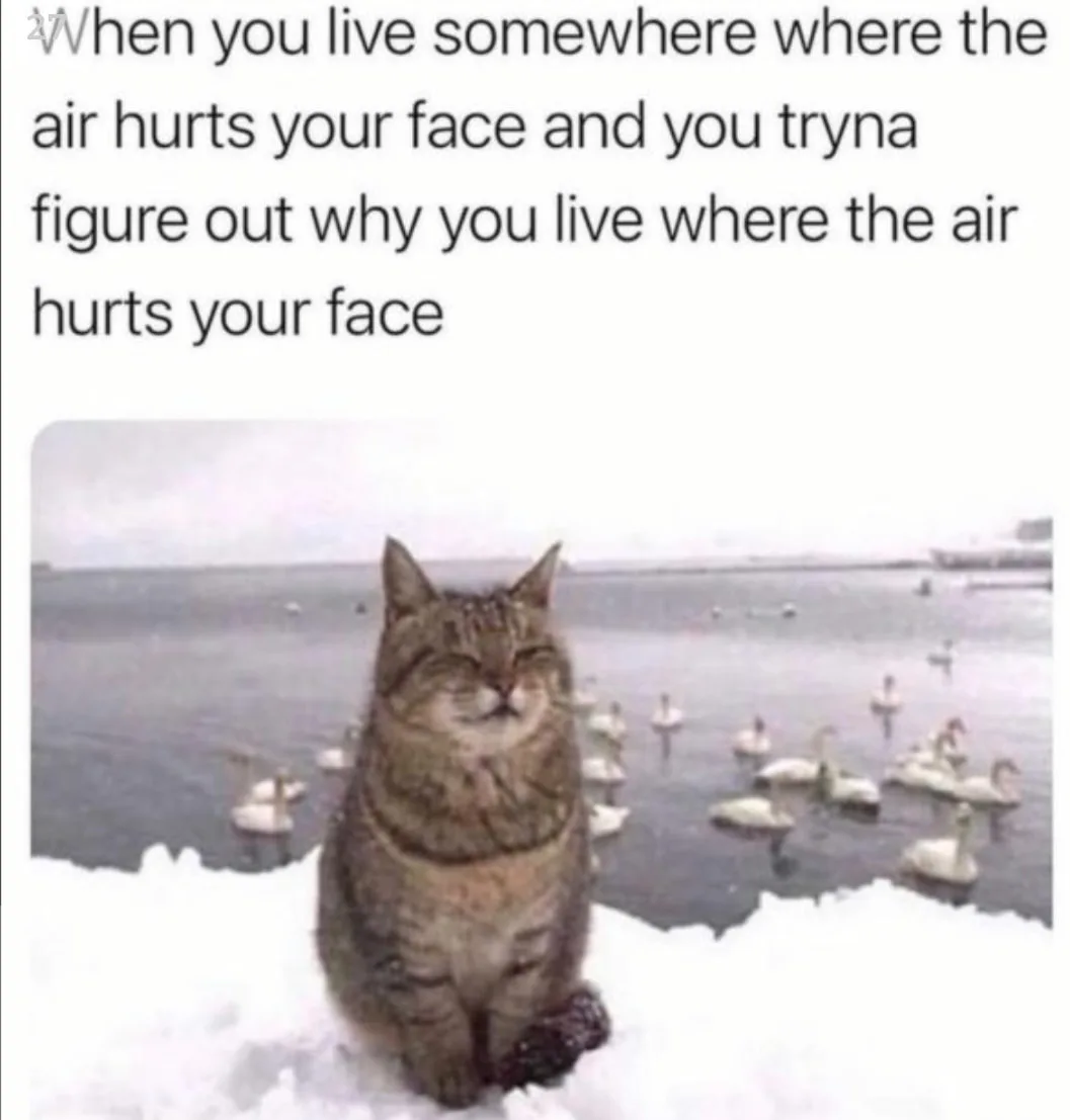 coldness meme