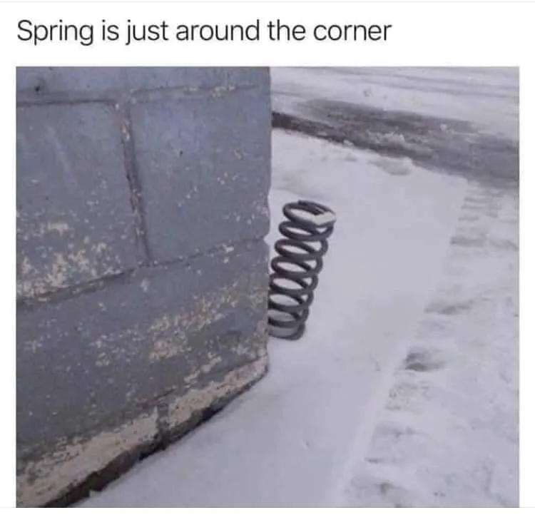 spring meme