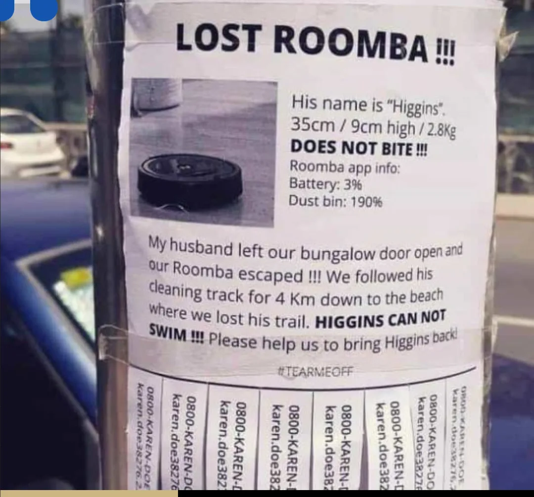 lost and found meme