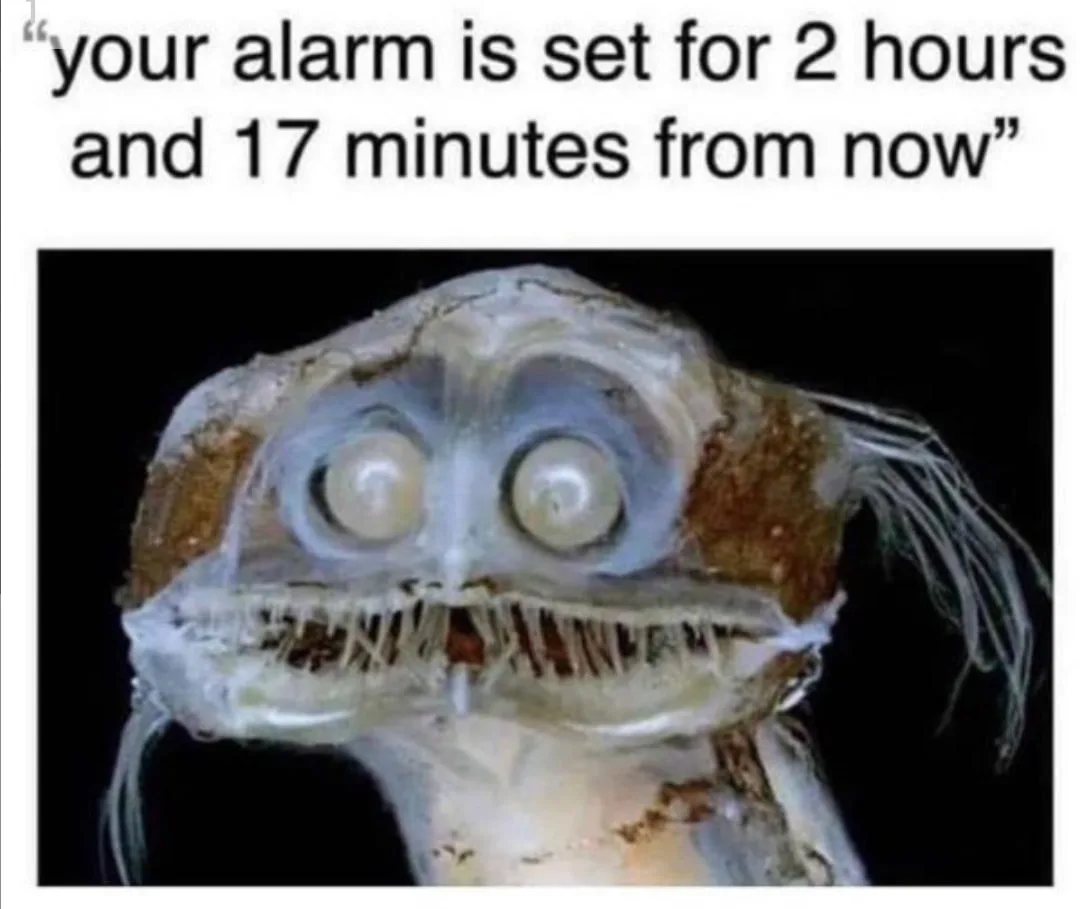 waking up early meme