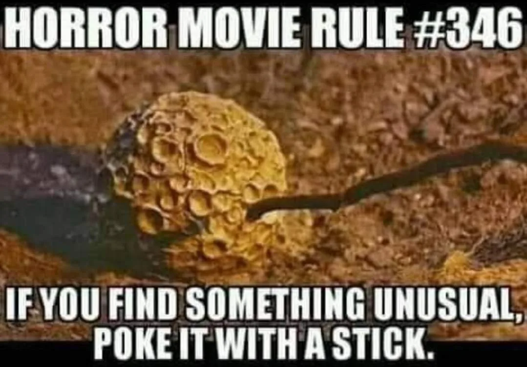 curiosity meme