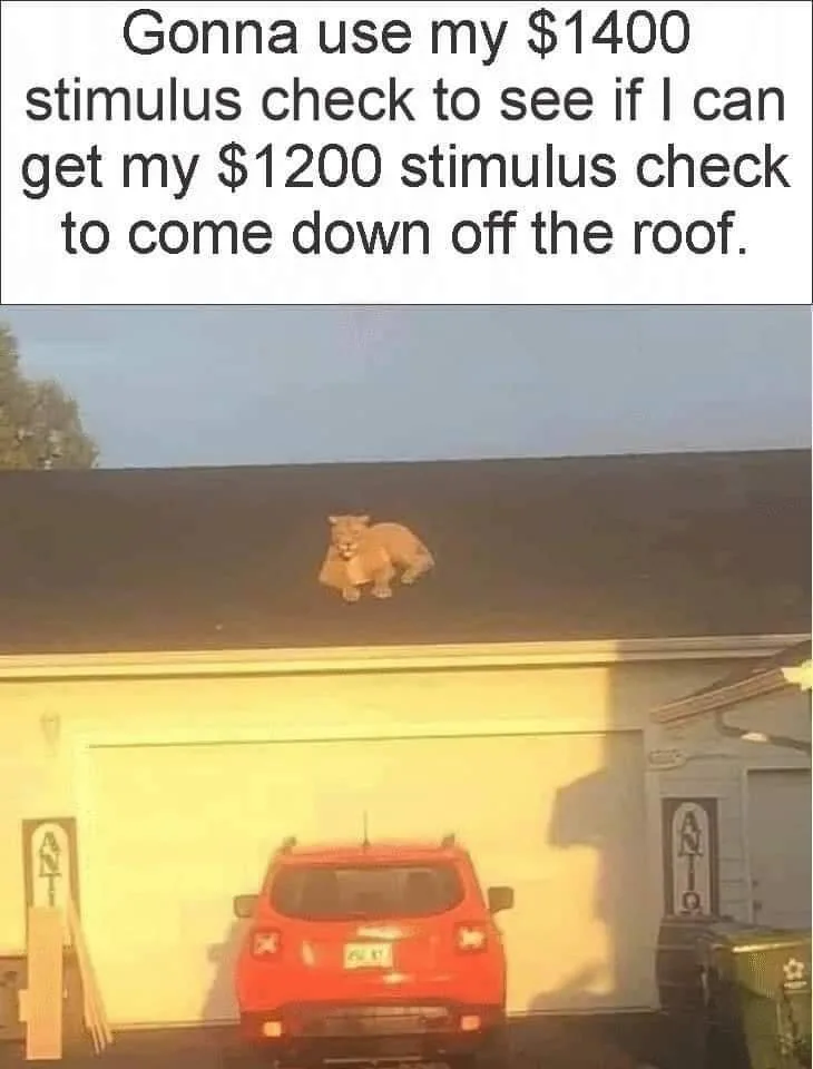 stimulus check meme