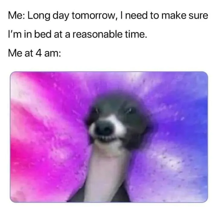 sleep schedule meme