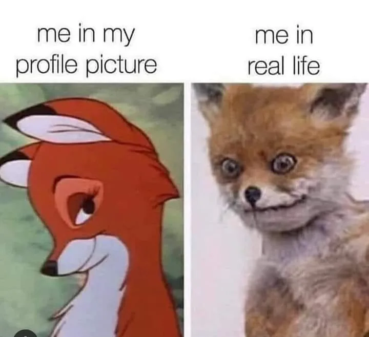 profile meme