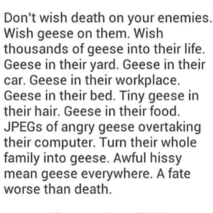 geese meme