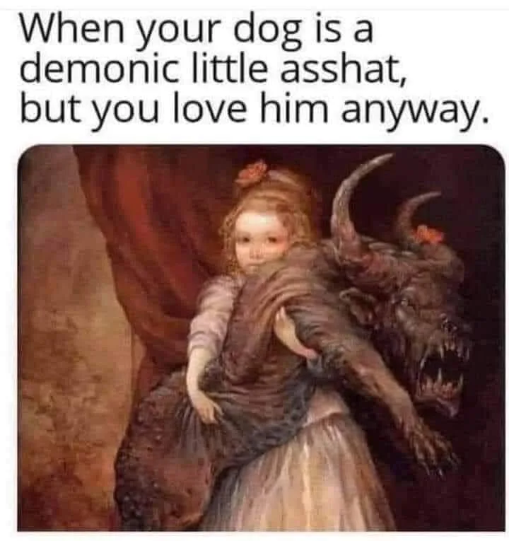 bad behavior meme