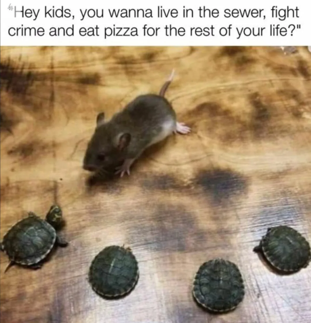 Teenage Mutant Ninja Turtle meme