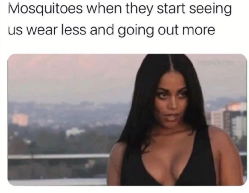 mosquito meme