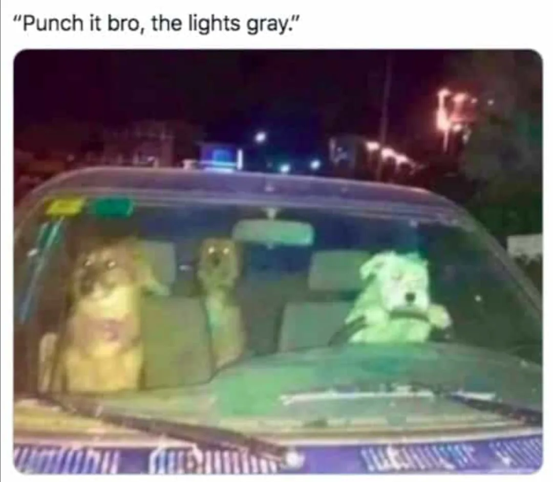 traffic light meme