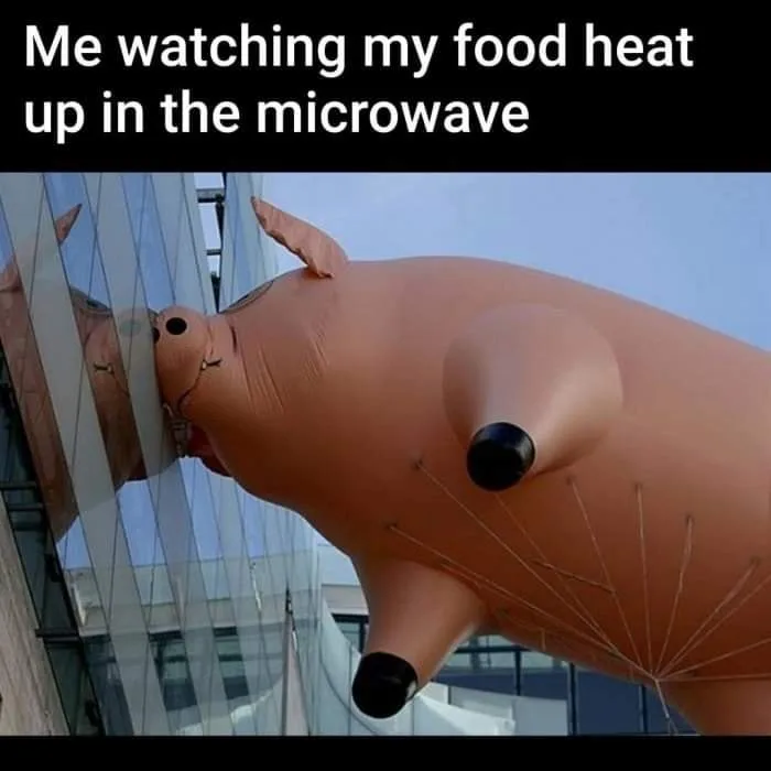 snacking meme